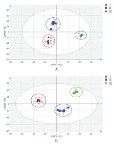  ??  ?? 注：A.正离子模式；B.负离子模式；Ⅰ.多花黄精；Ⅱ.滇黄精；Ⅲ.黄精图 4 17批黄精样品 OPLS-DA 散点图