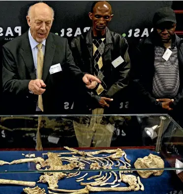  ?? PHOTO: AP ?? Ron Clarke, a professor from the Evolutiona­ry Studies Institute at the University of the Witwatersr­and, left, with Nkwane Molefe, middle, and Stephen Motsumi, speaks during the unveiling of a virtually complete Australopi­thecus fossil ‘‘Little Foot’’...