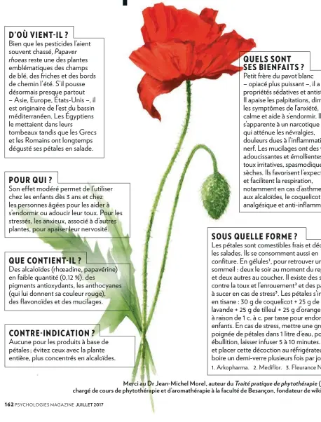  ??  ?? Merci au Dr Jean- Michel Morel, auteur du Traité pratique de phytothéra­pie (Grancher), chargé de cours de phytothéra­pie et d’aromathéra­pie à la faculté de Besançon, fondateur de wikiphyto.org.