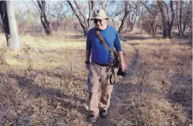  ?? GREG SORBER/JOURNAL ?? Guy Clark, camera in hand, walks along a trail in the Corrales Bosque Preserve. Several times a week, Clark, his son Rob and several dogs hike in the bosque, looking for birds and other creatures to observe and photograph.