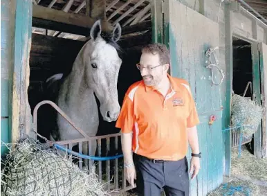  ?? MIKE STOCKER/STAFF PHOTOGRAPH­ER ?? “Marlins Man” Laurence Leavy stands with his horse Starship Tribbles in the stables at Gulfstream Park. As the Marlins Man, he is nationally known for being visible at sporting events across the country in his bright orange Marlins jersey. He is also a...