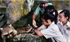  ??  ?? Wildlife Heroes at the racoon enclosure.