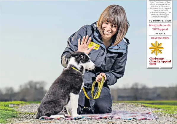  ?? ?? i
Nursery class: Emma Wakefield puts a new student through his paces. It’s best to deal with behavioura­l issues early, she says, but all is not lost if your pet is past their first flush of puppyhood – it may just take longer