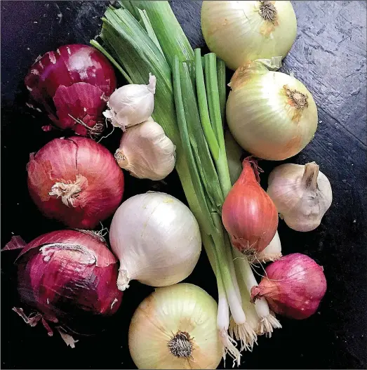  ??  ?? Alliums include red, white and yellow storage onions, garlic, green onions, leeks and shallots.