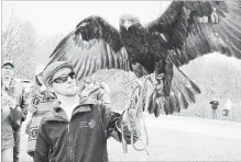  ?? KRIS DUBE THE WELLAND TRIBUNE FILE PHOTO ?? Matthew Morgan from the Canadian Raptor Conservanc­y is shown with Sasquatch, a 30-year-old golden eagle.