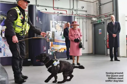  ??  ?? Nosing around: The Queen and William meet sniffer dog Max