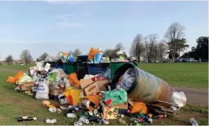  ?? Heather Pickstock ?? Several members of the Downs Committee have called for bins to be removed to encourage visitors to take their litter home with them