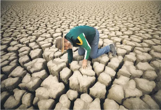  ?? Pictures: Reuters ?? SEARCH FOR DAMP. Hydrologis­t Gideon Groenewald feels cracks in the clay in the dried up municipal dam in drought-stricken Graaff-Reine.