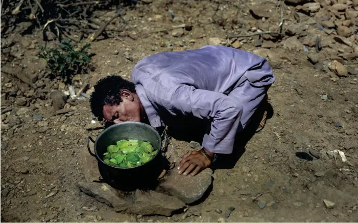  ?? FOTO: TT-AP/HANI MOHAMMED ?? ■En pappa i Aslam, Jemen kokar blad från en vinväxt för att föda sina barn. Miljoner jemeniter hotas av hungersnöd och av sjukdomar relaterade till näringsbri­st.