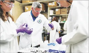  ?? AP PHOTO/JOSHUA A. BICKEL ?? Eric Kleiner (center) sorts samples for experiment­ation as part of drinking water and PFAS research at the U.S. Environmen­tal Protection Agency Center For Environmen­tal Solutions and Emergency Response on Feb. 16 in Cincinnati.