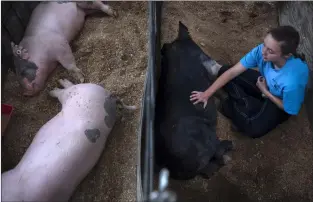  ?? Morgan Timms ?? Ariana MacAuley, of Peñasco, says goodbye to her pig, Ziggy, before it is trucked away Sunday (August 26) at the Taos County Fair.