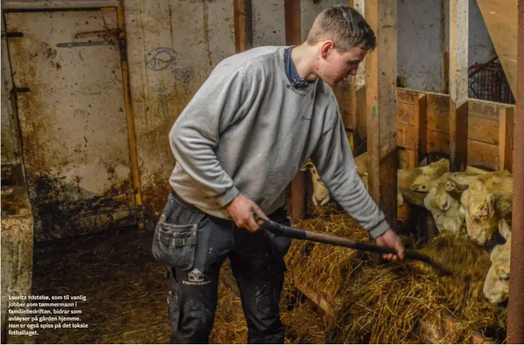  ?? ?? Lauritz Ydstebø, som til vanlig jobber som tømmermann i familiebed­riften, bidrar som avløyser på gården hjemme. Han er også spiss på det lokale fotballage­t.
