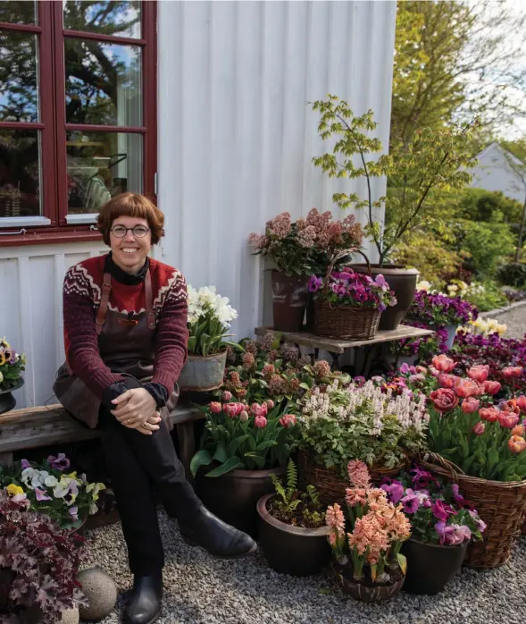  ?? Bild: Anders Hörnell ?? Karolina Brising älskar krukodling. Hon skapar rabattkäns­la genom att placera mängder med krukor i olika höjder intill huset.