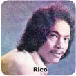  ??  ?? Rico