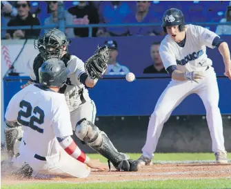  ??  ?? HarbourCat­s base runner Daktoa Dean slides in ahead of throw to Bells catcher David Banuelos during the first inning on Friday at Royal Athletic Park.