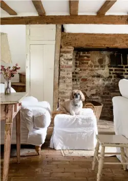  ??  ?? SITTING ROOM Top left Peppa sits happily amid timeworn surfaces and crooked lines in the brickfloor­ed room