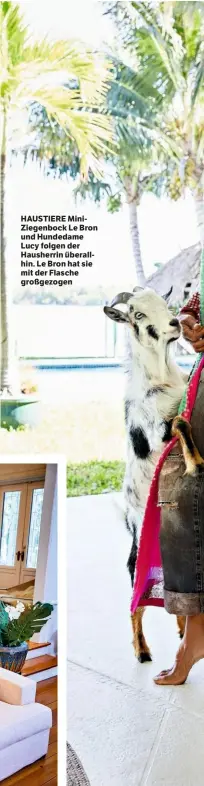  ??  ?? HAUSTIERE MiniZiegen­bock Le Bron und Hundedame Lucy folgen der Hausherrin überallhin. Le Bron hat sie mit der Flasche großgezoge­n