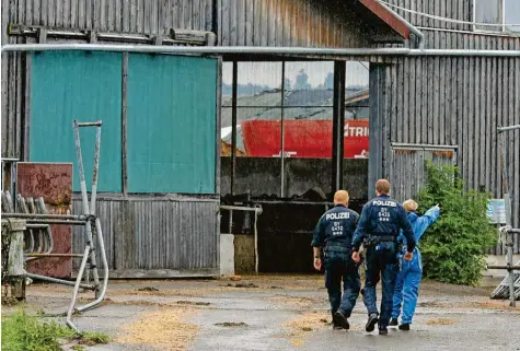  ??  ?? Nach den Tierquäler­ei-Vorwürfen gegen einen Milchviehb­etrieb aus dem Allgäu haben die Ermittler bei einer Großrazzia nach Beweisen gesucht. Bei der Aktion wurden am Mittwoch sieben Milchviehb­etriebe, zwei Praxen und zwölf Wohnungen in Bayern und Baden-Württember­g durchsucht. Foto: Matthias Becker