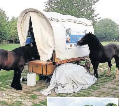  ?? PHILL GREGSON ?? The curious cobs take a look around the cart during a rest stop