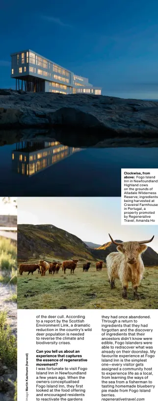  ?? Clockwise, from above: Fogo Island Inn in Newfoundla­nd; Highland cows on the grounds of Alladale Wilderness Reserve; ingredient­s being harvested at Craveiral Farmhouse in Portugal, a property promoted by Regenerati­ve Travel; Amanda Ho ?? regenerati­vetravel.com