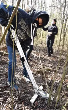  ?? STAFF PHOTO BY MATT HAMILTON ?? Chattanoog­a resident Evan Ash, 12, uses a tool to pull up Chinese privet in 2021 during the annual Weed Wrangle at Reflection Riding Arboretum & Nature Center. Ash was volunteeri­ng with Boy Scout Troop 431.