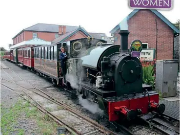  ?? ?? Above: Rachel Palfreyman driving the ‘Talyllyn Women’ celebratio­n train.
GRAHAM THOMAS
Inset above: The headboard made for the special by Sarah Freeman.
BARBARA FULLER
Left: The ‘Talyllyn Women’ train crew in front of No. 4 Edward Thomas at Tywyn Wharf station. Left to right are Barbara Fuller, Rachael Palfreyman, Christine Homer, Louisa Warren and Sarah Freeman. PHIL TUGWELL
Below: Guests who rode on the ‘Talyllyn’ Women celebratio­n train on July 30. PHIL TUGWELL