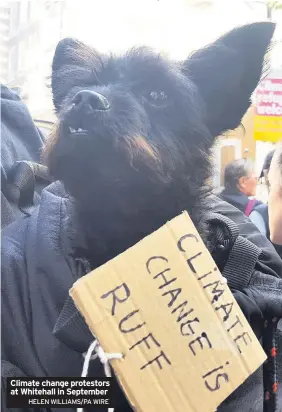  ?? HELEN WILLIAMS/PA WIRE ?? Climate change protestors at Whitehall in September