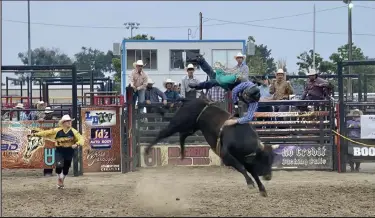  ?? Fort Morgan Times file photo ?? A rider loses his seat during the Buckers Unlimited No Credit Bucking Battle at the 2021 Morgan County Fair.