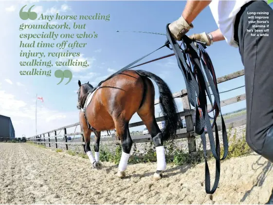  ??  ?? Long-reining will improve your horse’s stamina if he’s been off for a while