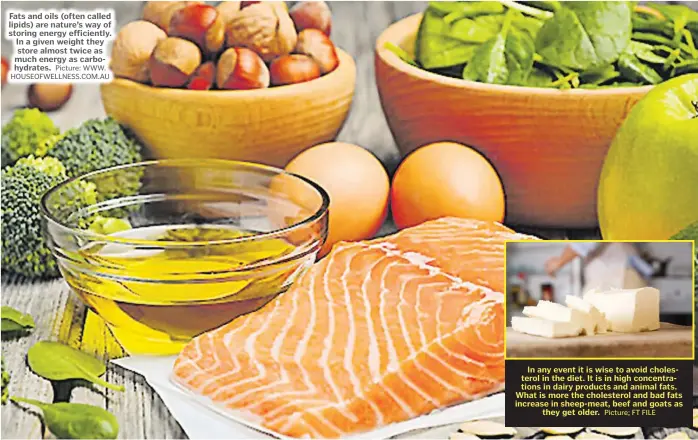  ?? Picture: WWW. HOUSEOFWEL­LNESS.COM.AU Picture; FT FILE ?? Fats and oils (often called lipids) are nature’s way of storing energy efficientl­y. In a given weight they store almost twice as much energy as carbohydra­tes.
In any event it is wise to avoid cholestero­l in the diet. It is in high concentrat­ions in dairy products and animal fats. What is more the cholestero­l and bad fats increase in sheep-meat, beef and goats as they get older.