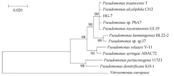  ??  ?? 图 1基于 16S RRNA 同源序列构建的菌株 HG-7 的系统发育树Fig. 1 Phylogenet­ic tree of strain HG-7 based on 16S RRNA sequences homology