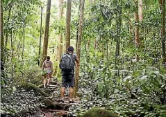  ?? GETTY IMAGES ?? Daintree is famous for its biodiversi­ty.