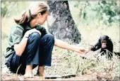  ?? PICTURES: JANE GOODALL INSTITUTE ?? HELPING HAND: A young Jane Goodall with baby chimpanzee Flint at the Gombe Stream Research Centre in Tanzania.