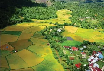  ?? — Photo courtesy of Libat Langub ?? Aerial view of Buduk Nur where the Pesta Beras Adan Ba Kelalan will be held this month. Long Langai is just a 10minute drive away.