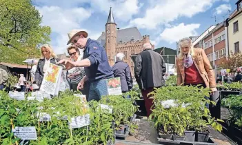  ?? RP-ARCHIVFOTO: GOTTFRIED EVERS ?? Auf dem Kalkarer Marktplatz wird es am 1. Mai grün.