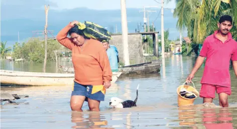  ??  ?? La población comenzó a desplazars­e en busca de alimentos, caminando en calles inundadas luego del paso del huracán Max en Tecomate-Pesquería, municipio de San Marcos, Guerrero. El meteoro se debilitó a baja presión remanente tras impactar el jueves en...