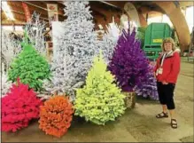  ?? PHOTO PROVIDED ?? Colored Christmas trees are a growing trend. Ellms Family Farm in Charlton plans to make 200 available for sale this year.