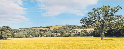  ??  ?? Craigeassi­e estate was home to the Hurdcott AberdeenAn­gus herd.