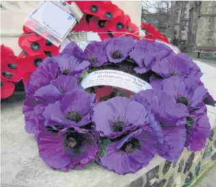  ??  ?? RESPECT: Purple poppies are used to remember animals that fell during the war.