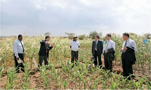  ??  ?? Professor Xiong (second left) presents the advances of rainfed agricultur­e in Kenya to Professor Zhou Xuhong (first right), former president of LZU and current CAE academicia­n, in January 2013.