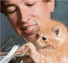  ?? ?? Lleve su amigo gatuno al veterinari­o para que revise su salud.