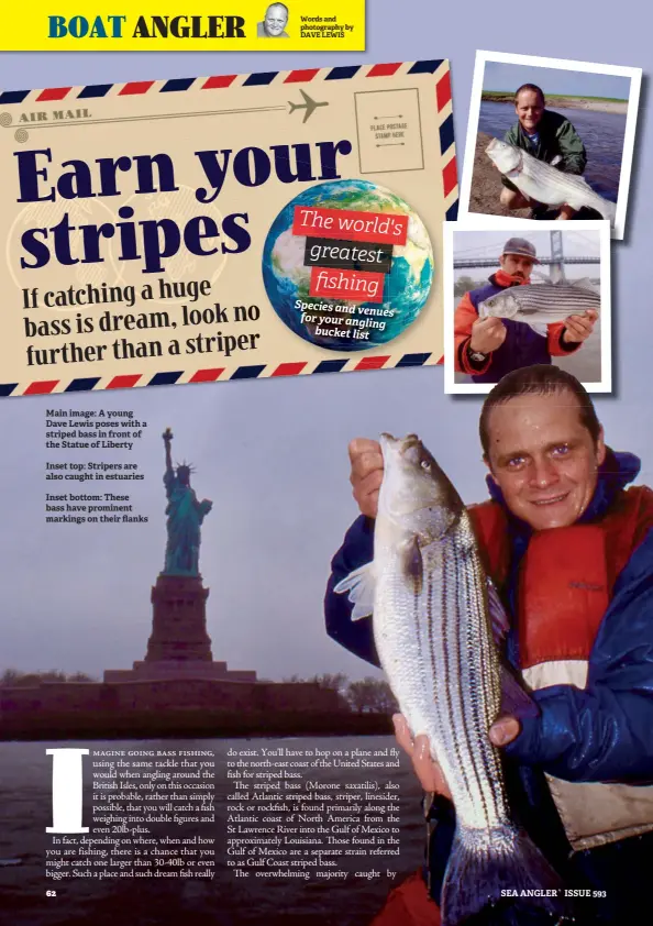  ??  ?? Main image: A young Dave Lewis poses with a striped bass in front of the Statue of Liberty
Inset top: Stripers are also caught in estuaries
Inset bottom: These bass have prominent markings on their flanks