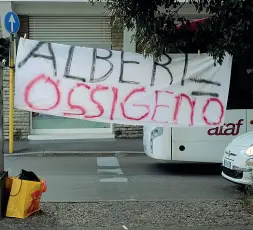  ??  ?? Ieri e oggi A destra uno striscione comparso nel 2014, quando sono cominciati in quella zona della città i cantieri per il passaggio della tramvia: in quell’occasione furono tagliati dodici lecci, tra le proteste dei residenti. Tre anni dopo (come si...