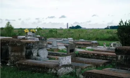  ??  ?? It was common for cemeteries to enforce segregatio­n into the late 1940s and 50s. Photograph: Bryan Tarnowski/The Guardian