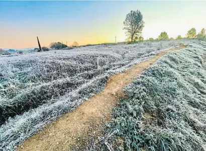  ?? Barc lonMrOoa ?? L’entrada d’aire de l’àrtic deixarà gelades i nevades que no afectaran Barcelona