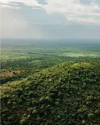  ??  ?? Garamba nasjonalpa­rk DR KONGO
Skogene og savannene i Garamba er så flate at en liten høyde som kalles Mount Bagunda, fungerer som utsiktspos­t for viltvokter­ne. Fra leiren under en sendemast kan de holde utkikk etter bål, sende ut patruljer og sende informasjo­n tilbake til basen.