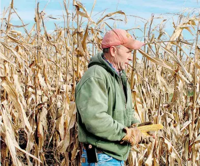  ?? KIA JOHNSON/REUTERS ?? El país advirtió que algunas empresas no pagan los sueldos a trabajador­es del agro en EU