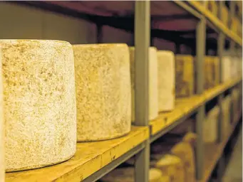  ??  ?? Le GIE Châtaigner­aie fabrique, affine et distribue le fromage en plus de collecter le lait.