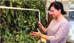 ?? DIMAS MAULANA/JAWA POS ?? HEALTHY LIFE: Indawati Kusuma menyukai tanaman organik yang tidak mengandung pestisida.
Kini Indawati membuat market sendiri untuk para penyuka makanan organik.