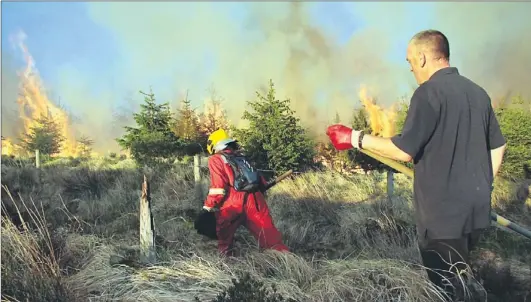  ?? Photo by John Reidy ?? Forestry promises valuable rewards for farmers but proper management is required to protect trees from, amongst other things, fire which is seen here devastatin­g a forestry in North Kerry.